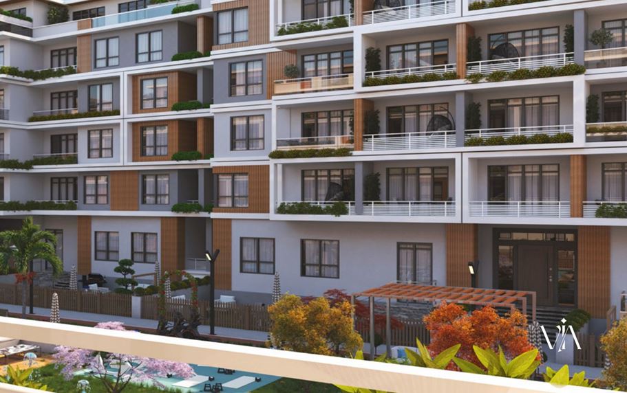 Via – Sheikh Zayed