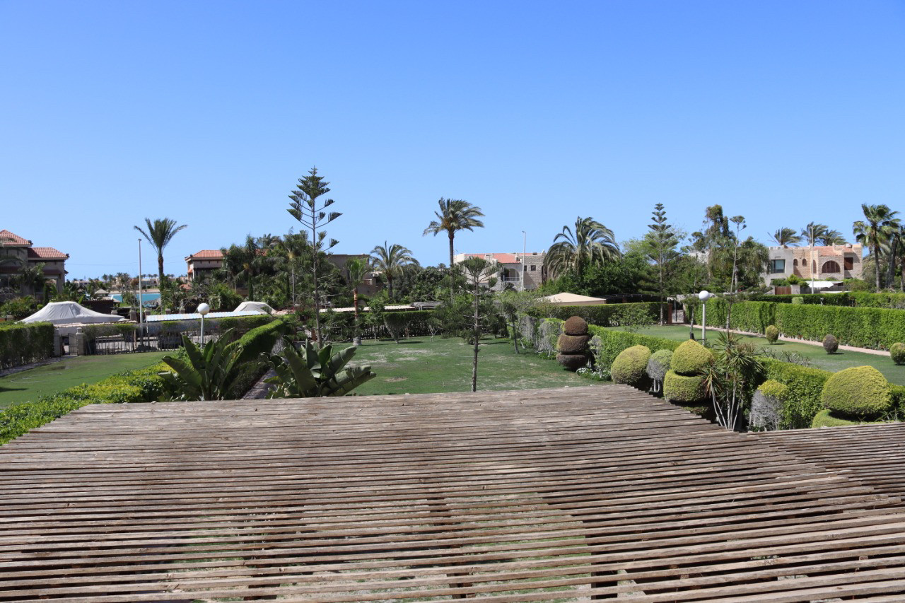 Renzo -   Property 65