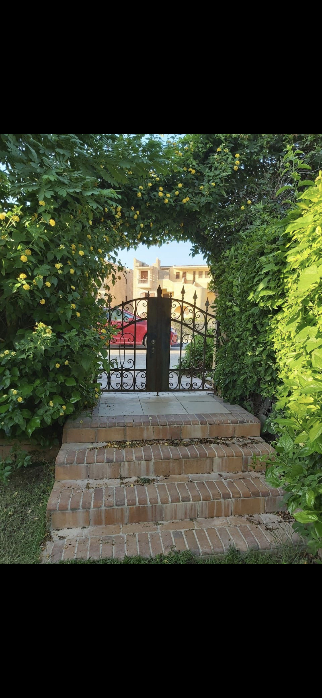 Renzo -   Property 79