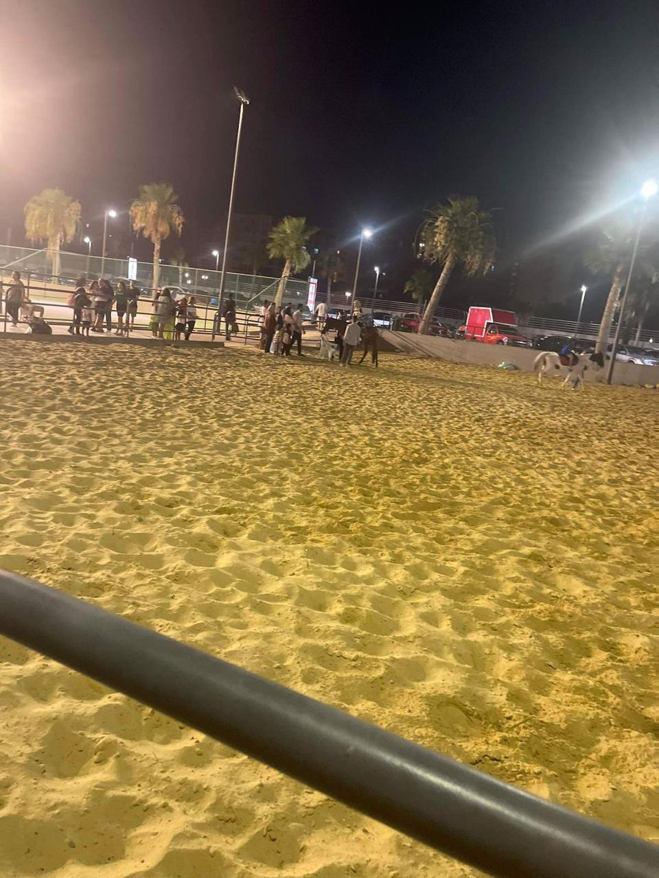 Renzo -   Property 1006