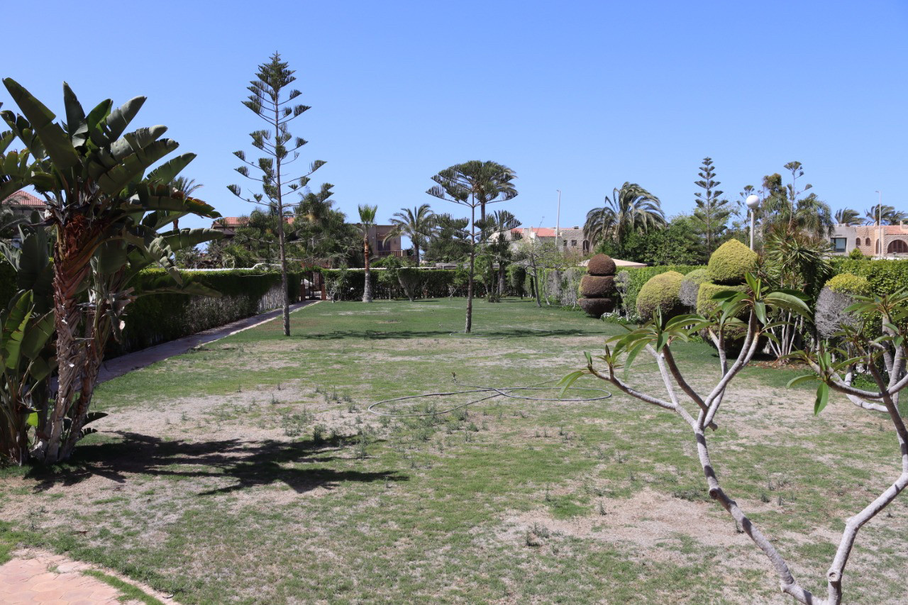 Renzo -   Property 65