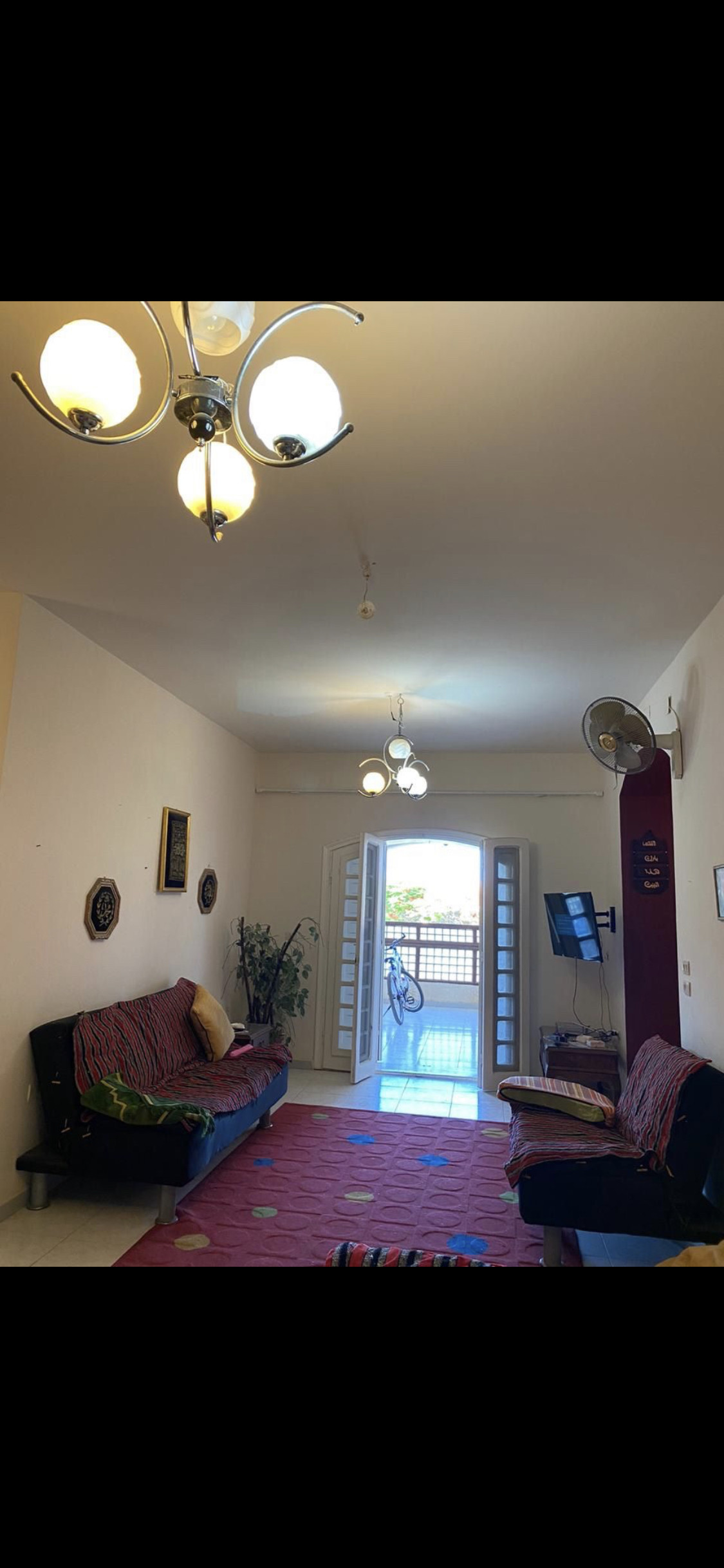 Renzo -   Property 80