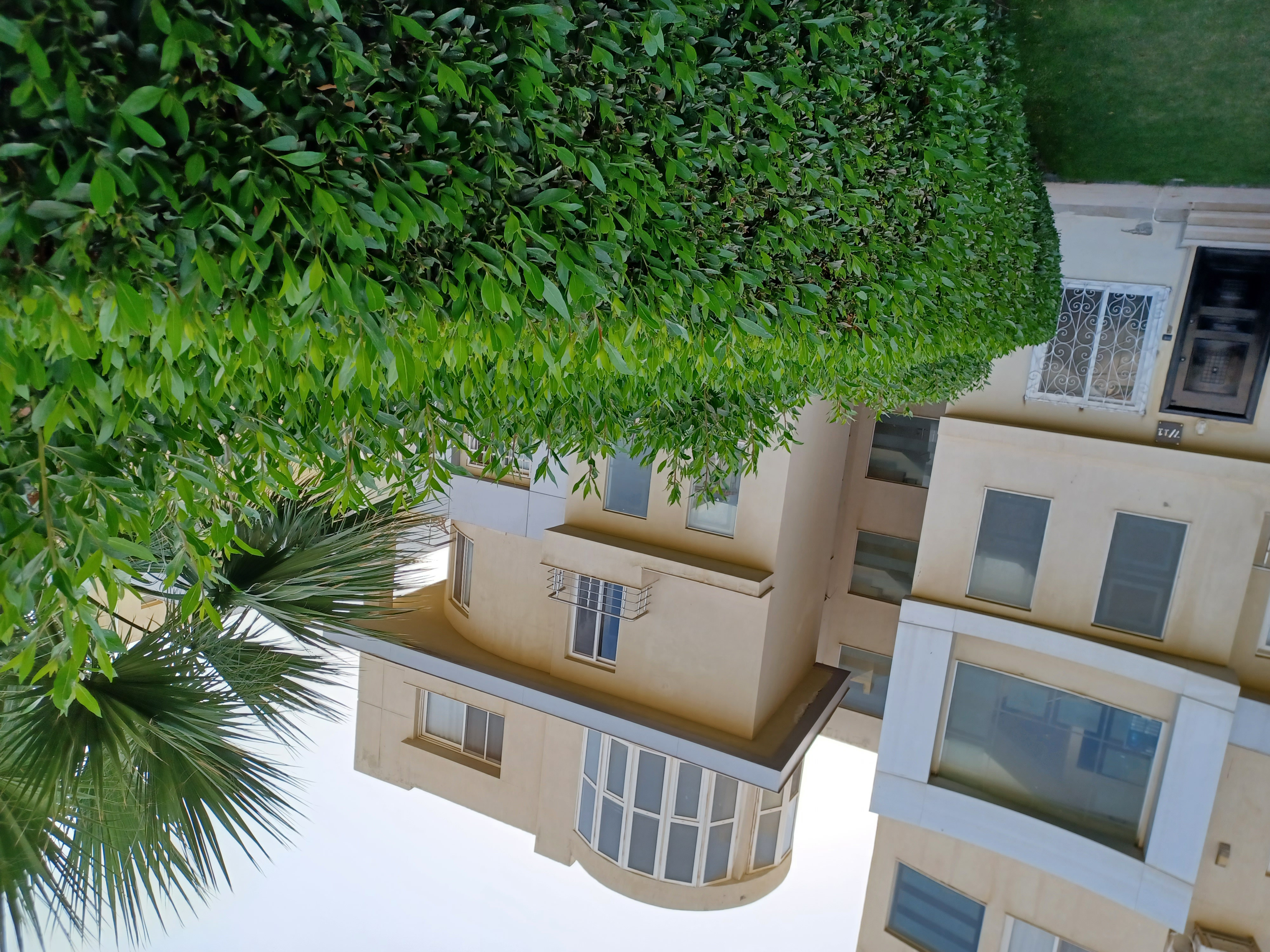 Renzo -   Property 874