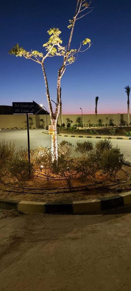 Renzo -   Property 869