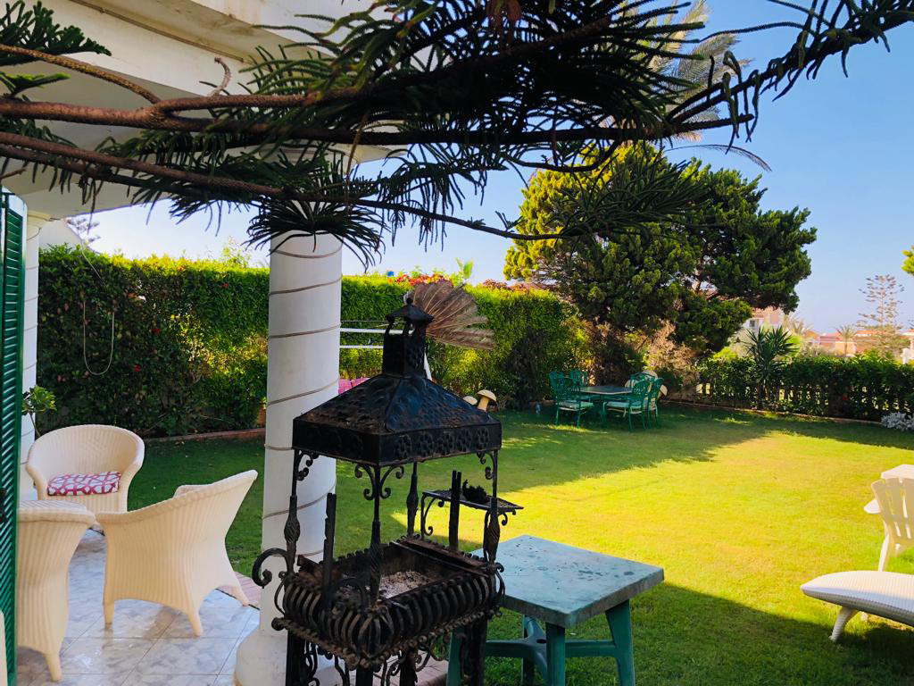 Renzo -   Property 899