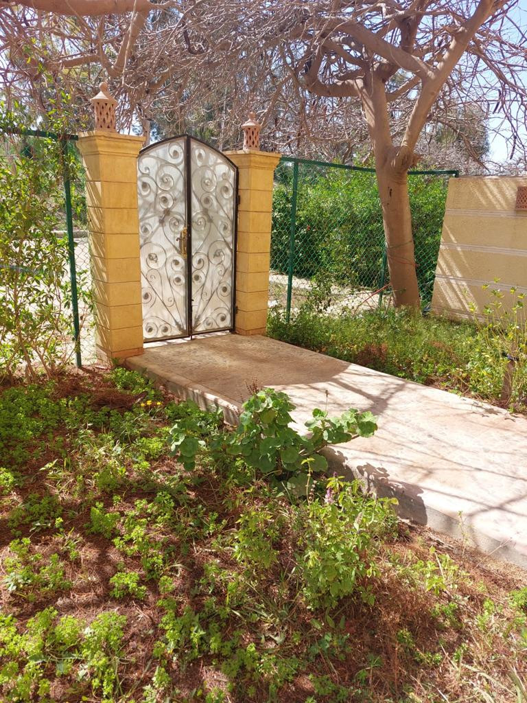 Renzo -   Property 1016