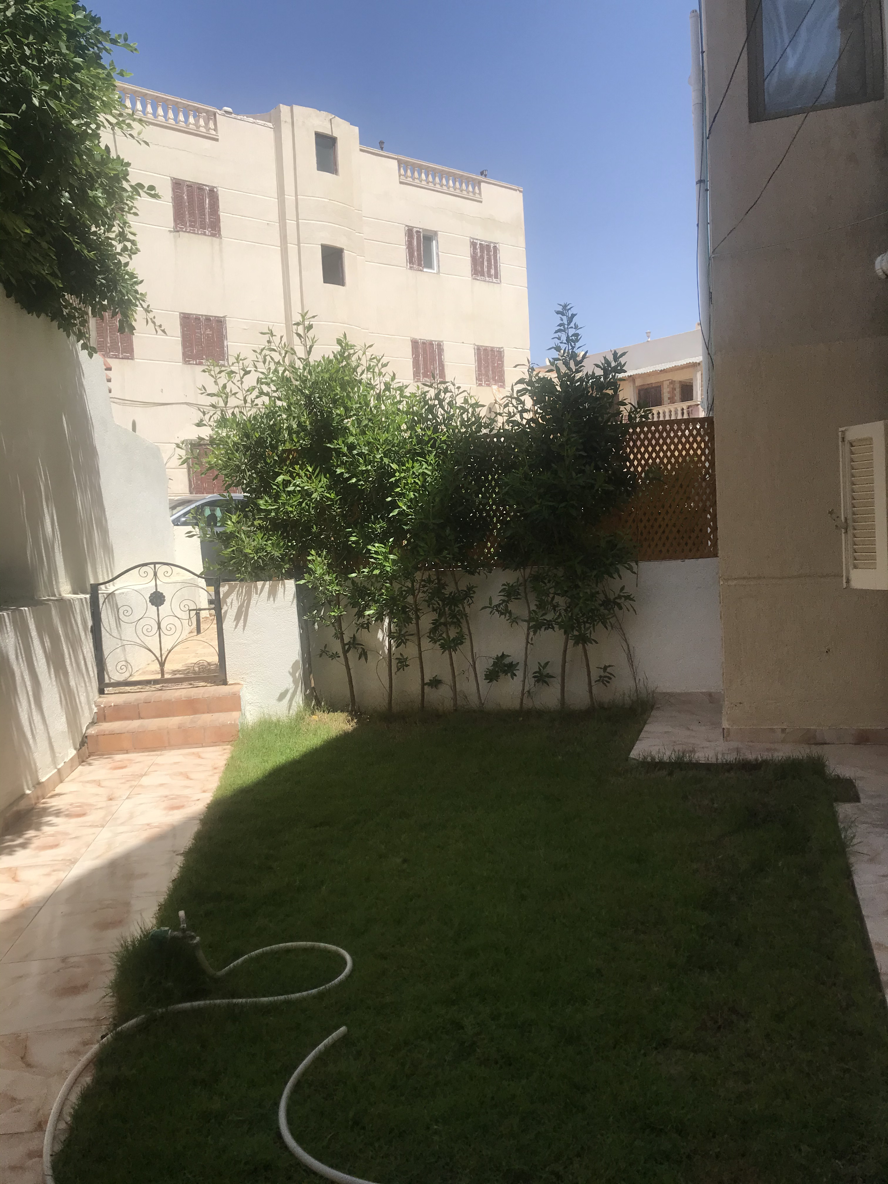 Renzo -   Property 802