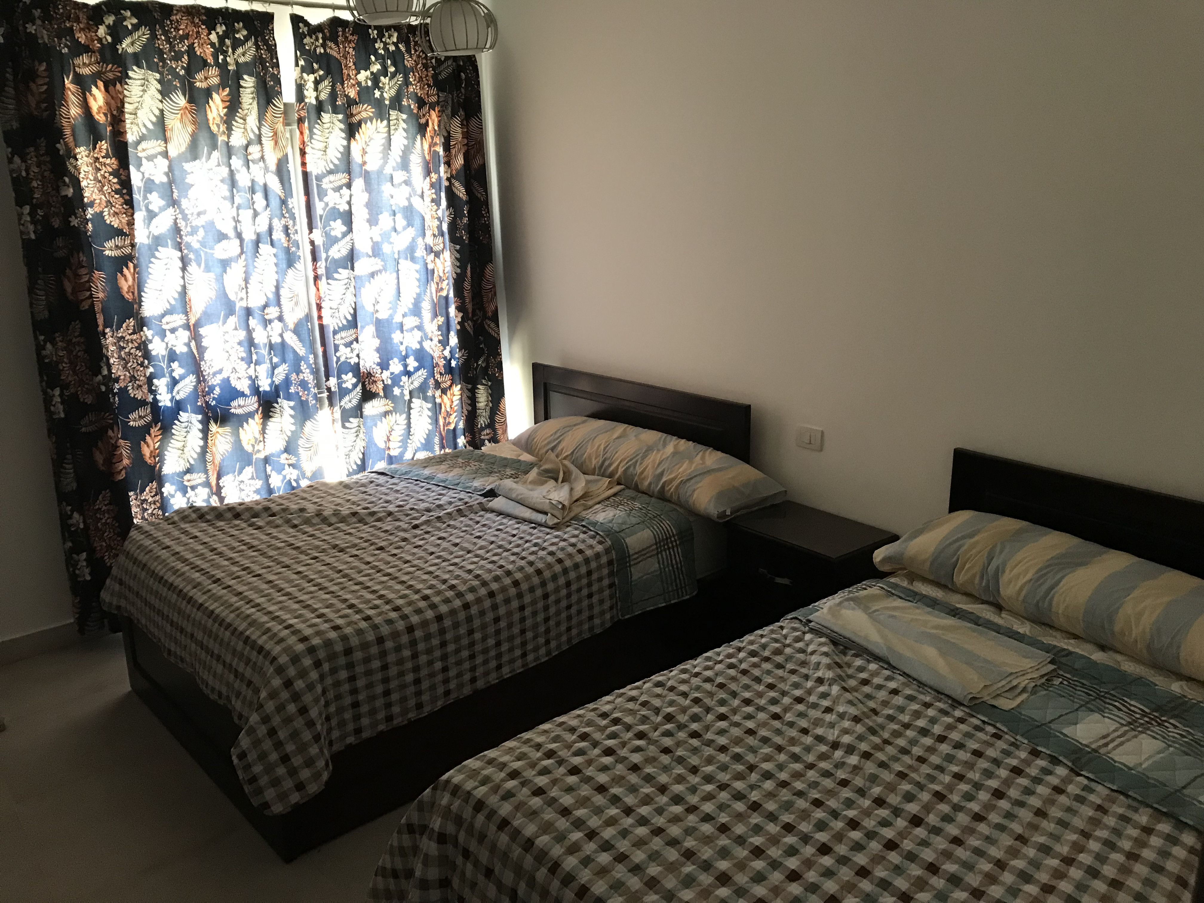 Renzo -   swan lake north coast