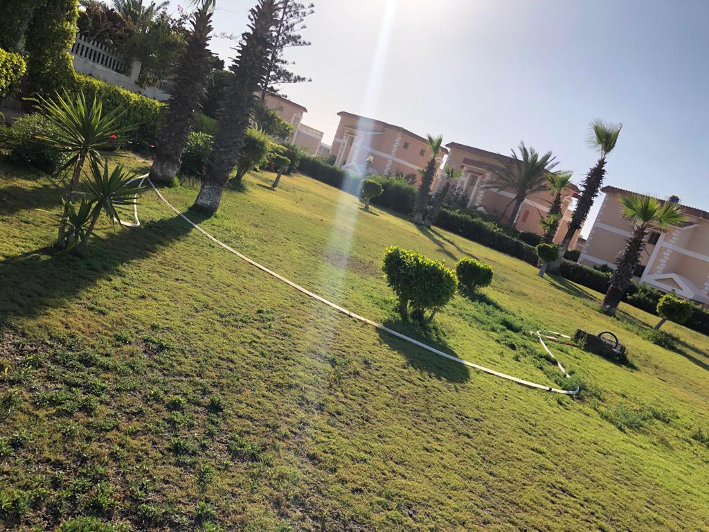 Renzo -   Property 899