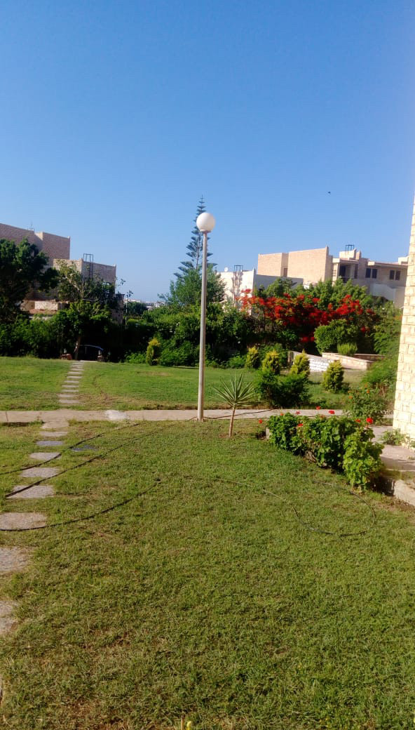 Renzo -   Property 66