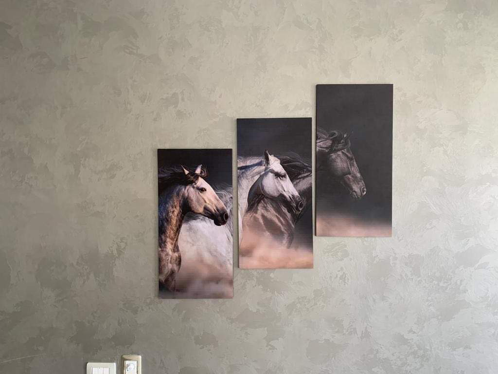 Renzo -   Property 376