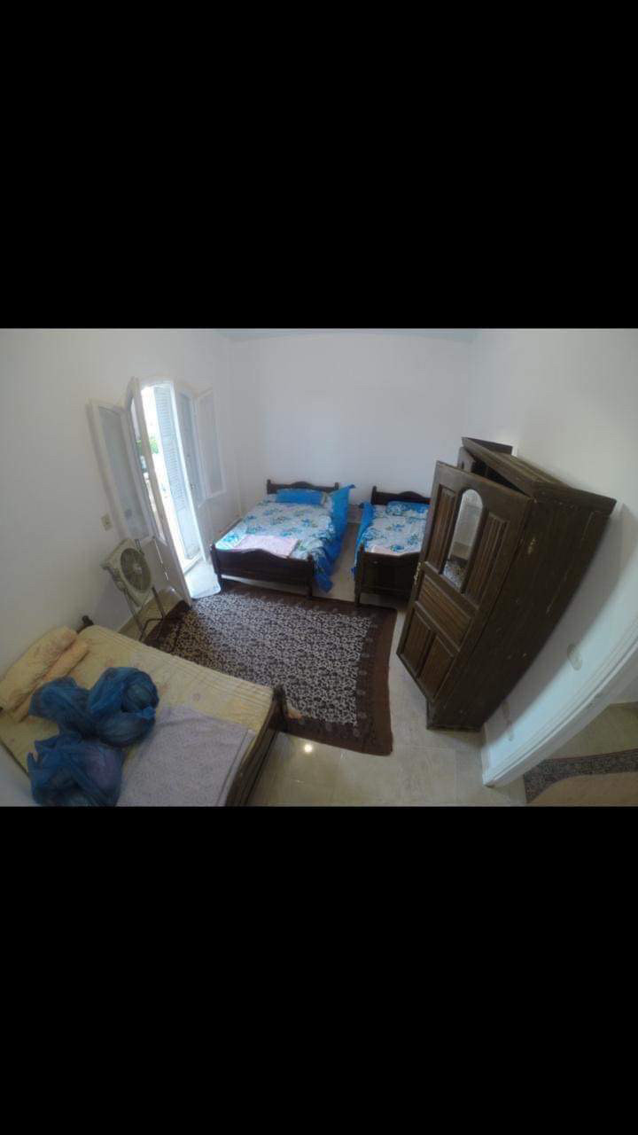 Renzo -   Property 117