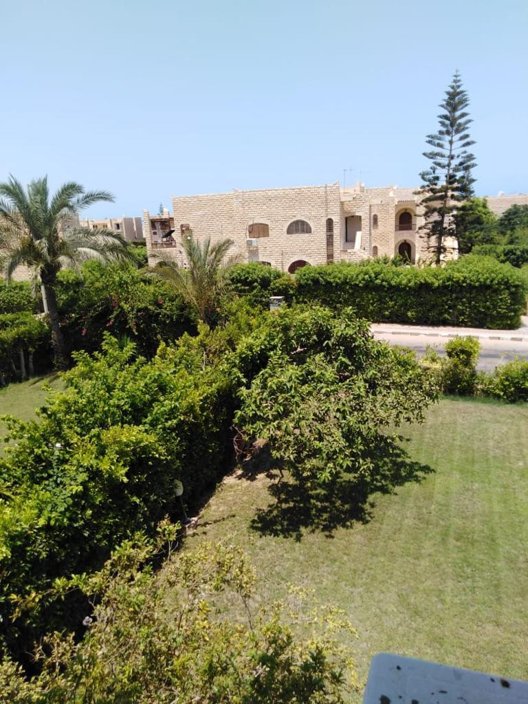 Renzo -   Property 95