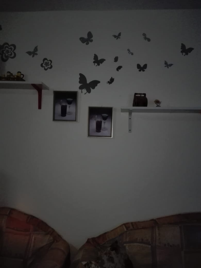 Renzo -   Property 150