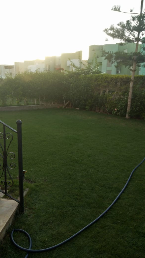 Renzo -   Property 154