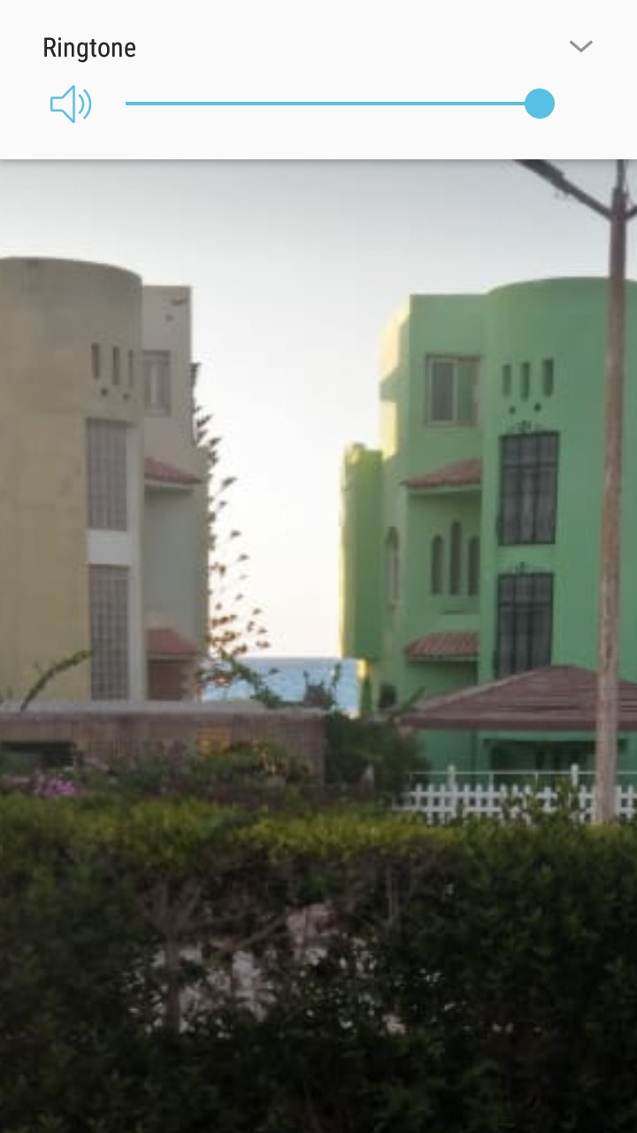 Renzo -   Property 154