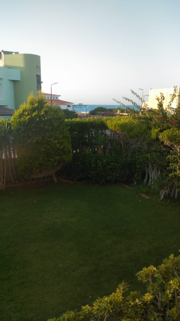 Renzo -   Property 154