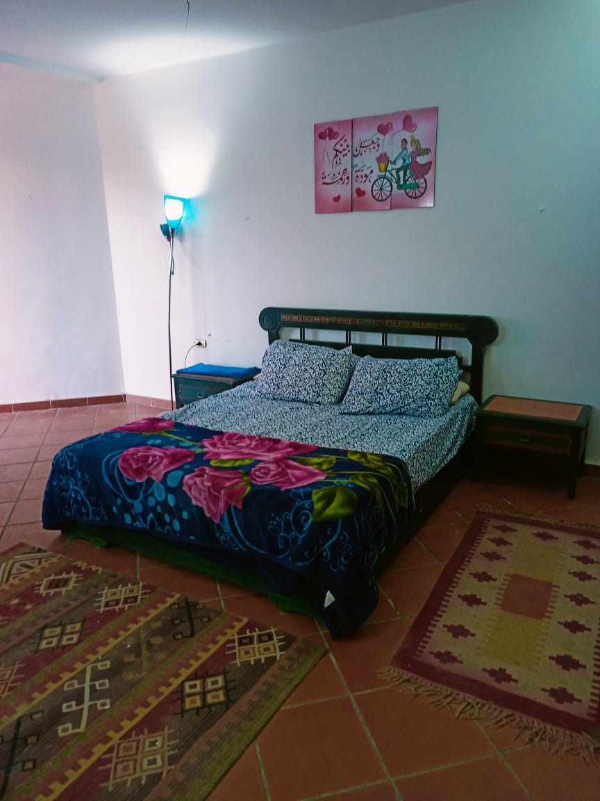 Renzo -   Property 163