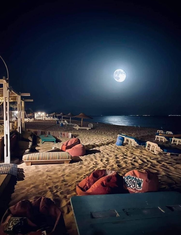 Renzo -   Property 177