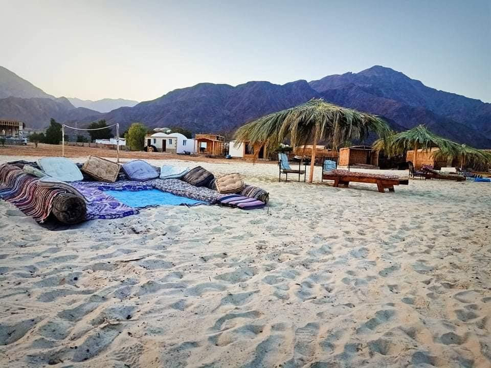 Renzo -   Property 200