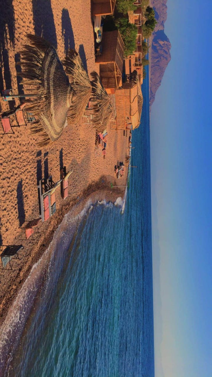 Renzo -   Property 201