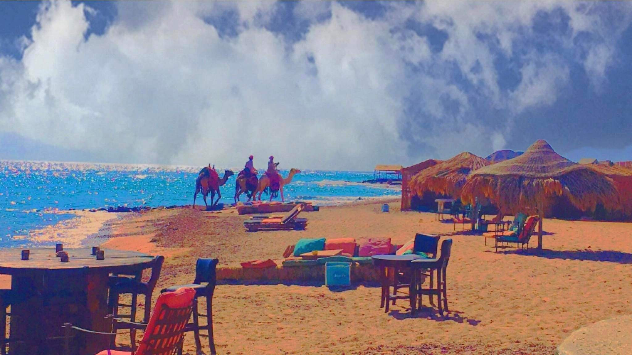 Renzo -   Property 201