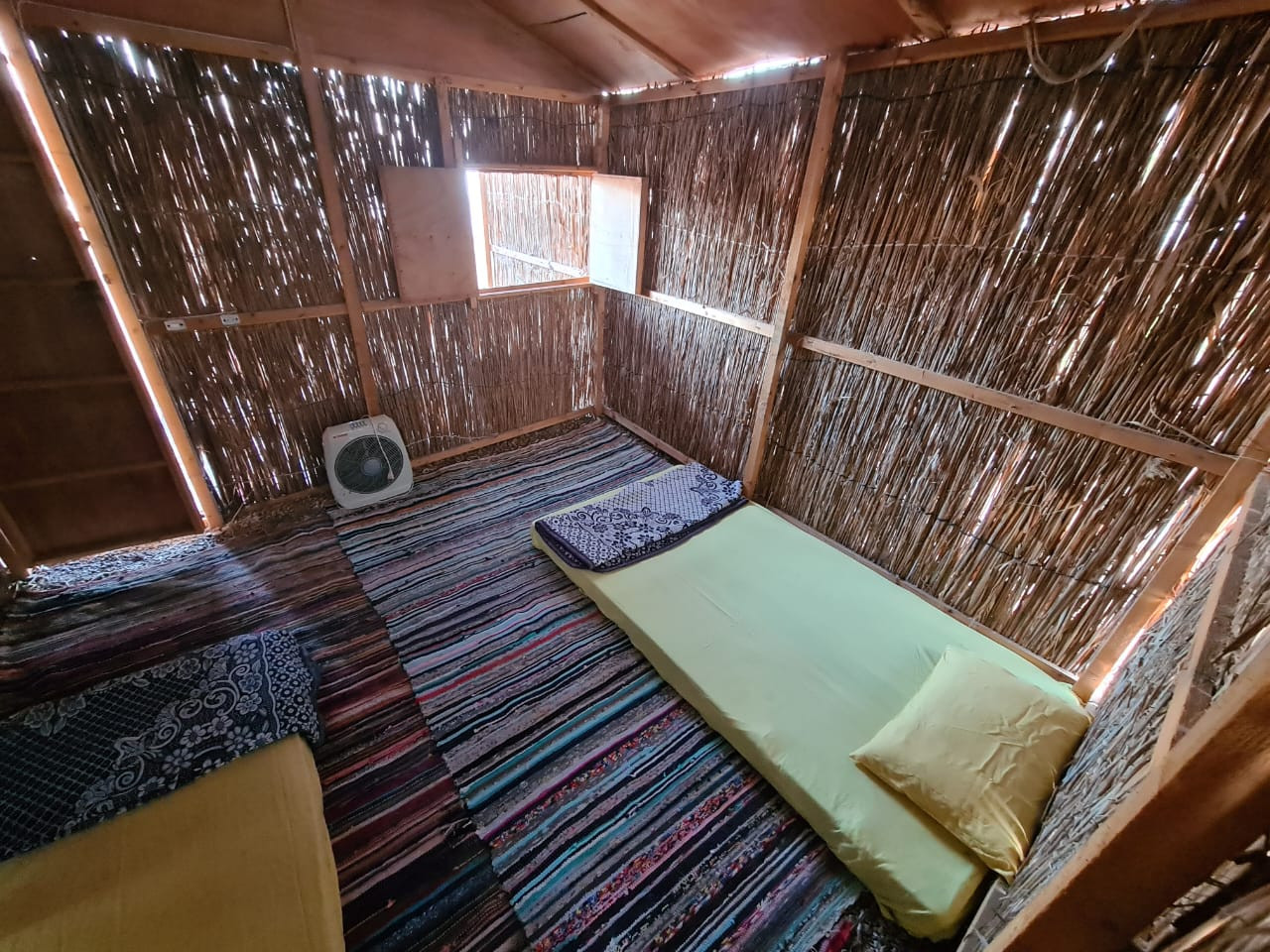 Renzo -   Property 202