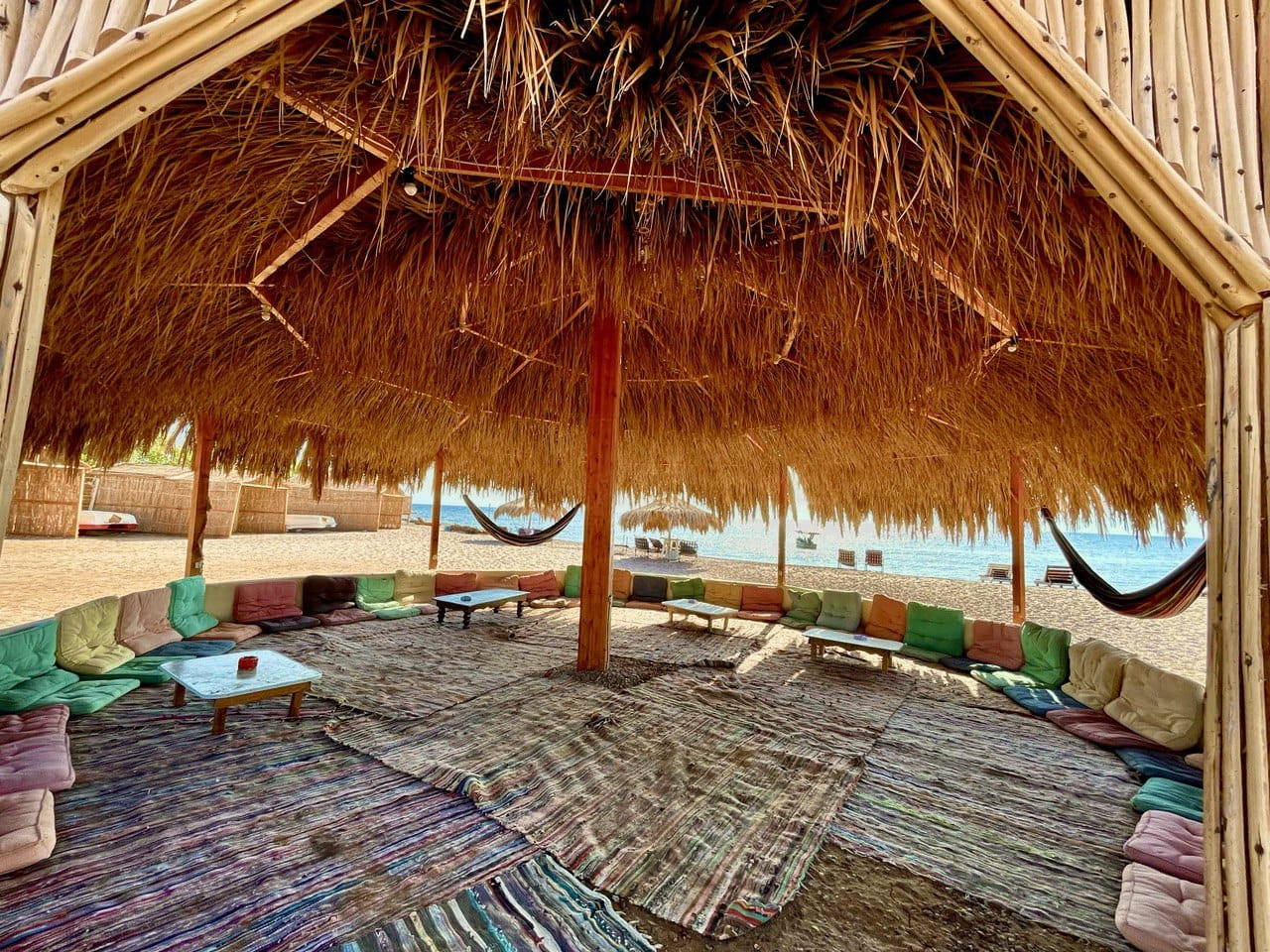 Renzo -   Property 202