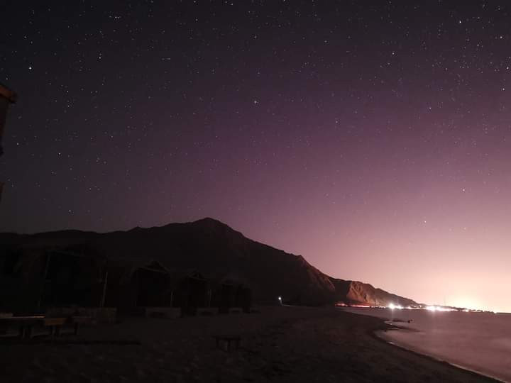 Renzo -   Property 203