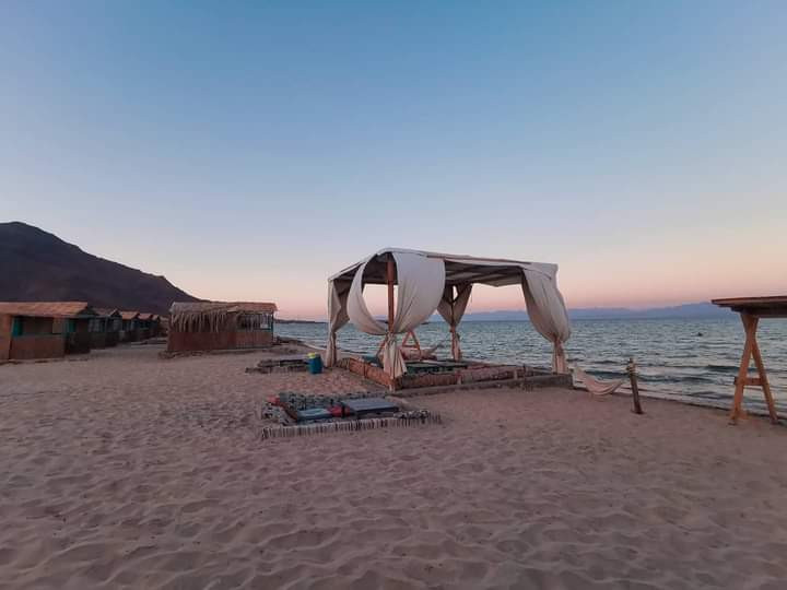 Renzo -   Property 203