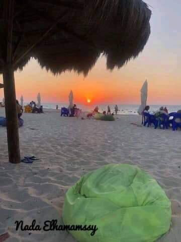 Renzo -   Property 204