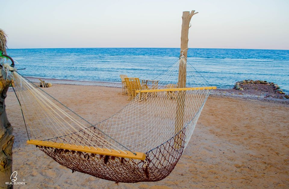 Renzo -   Property 206