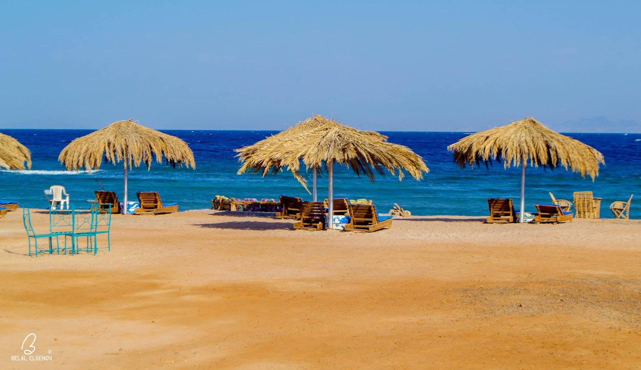 Renzo -   Property 207