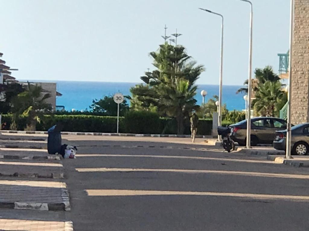 Renzo -   Property 210