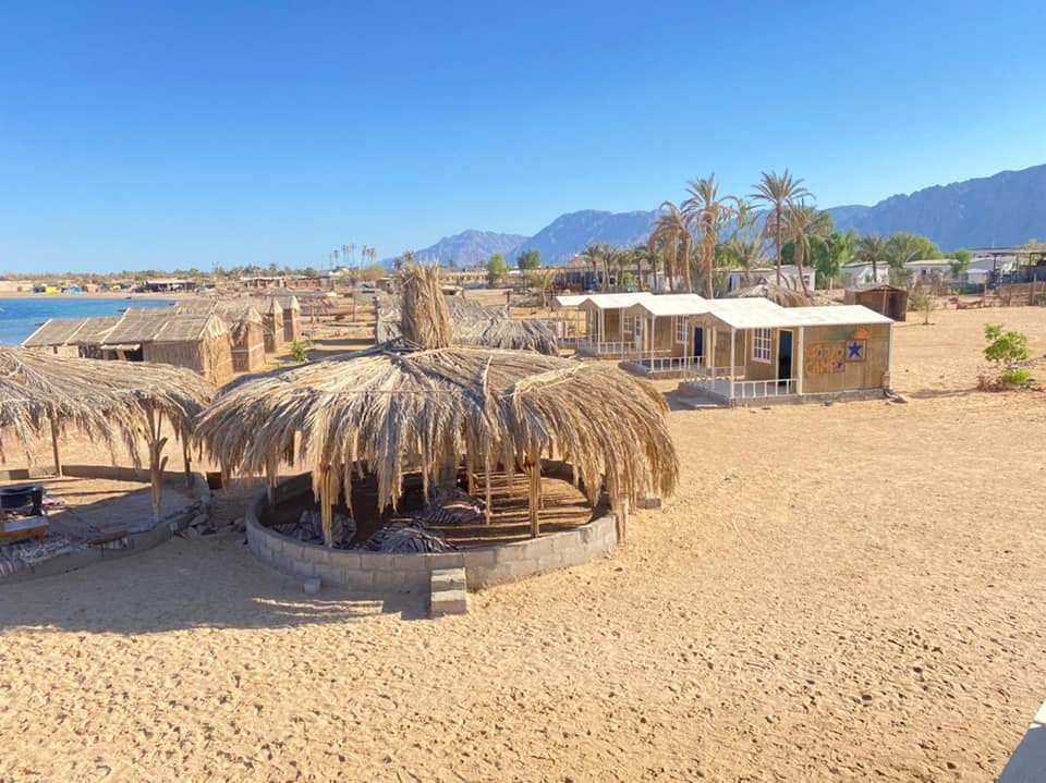 Renzo -   Property 238