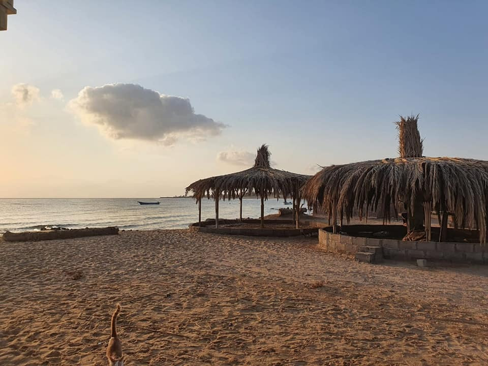 Renzo -   Property 238