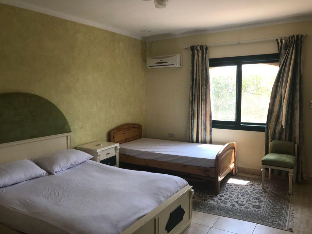 Renzo -   Property 269