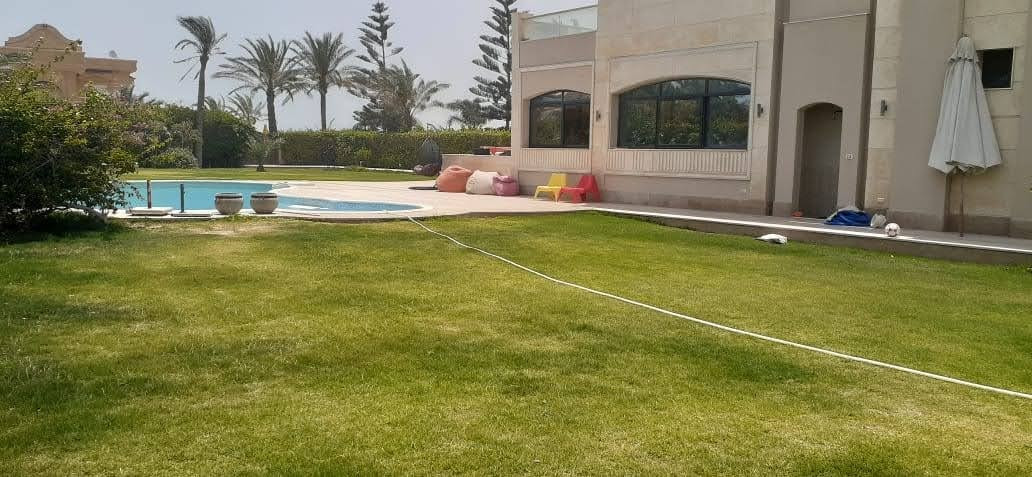 Renzo -   Property 300