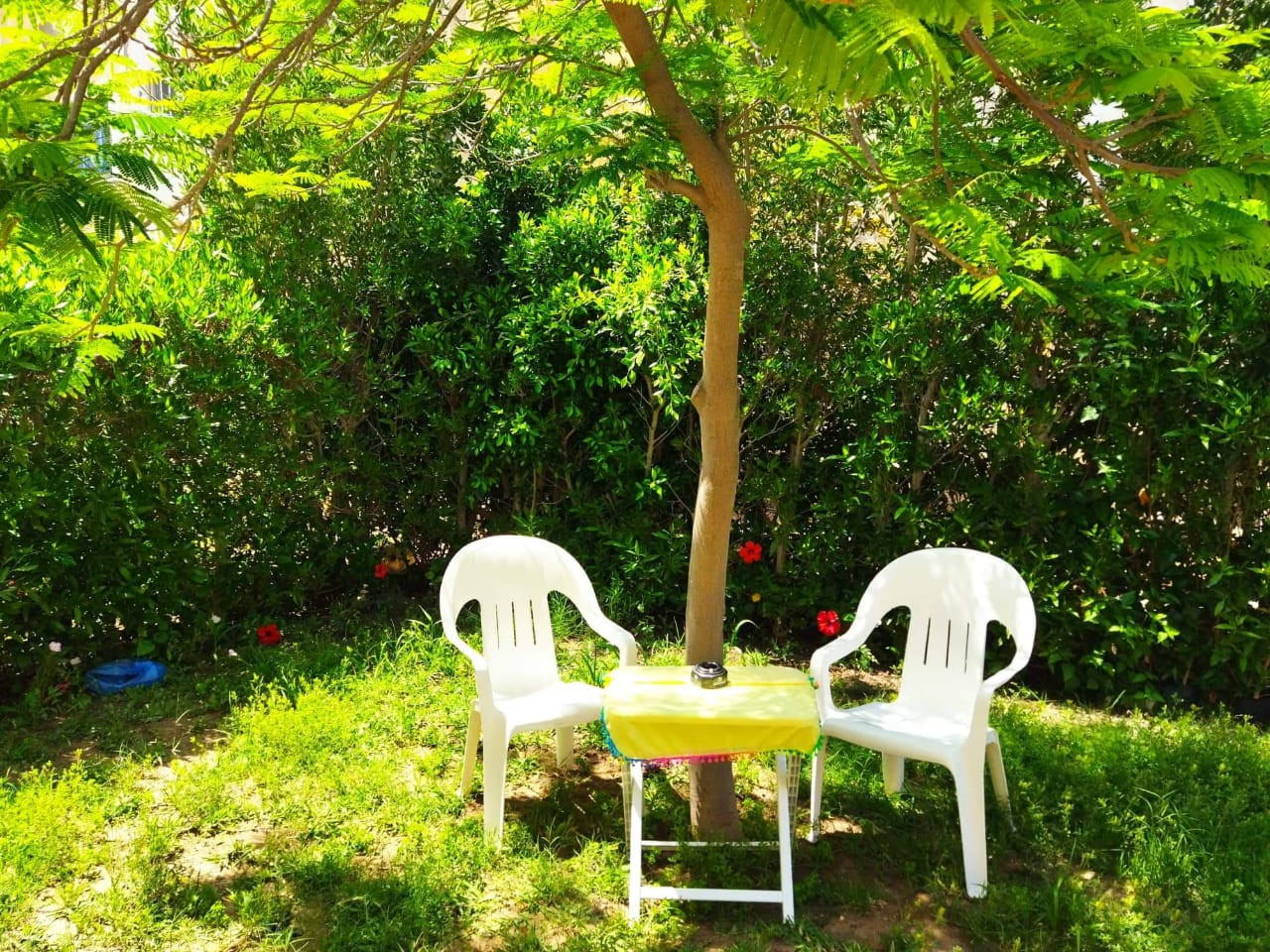 Renzo -   Property 345