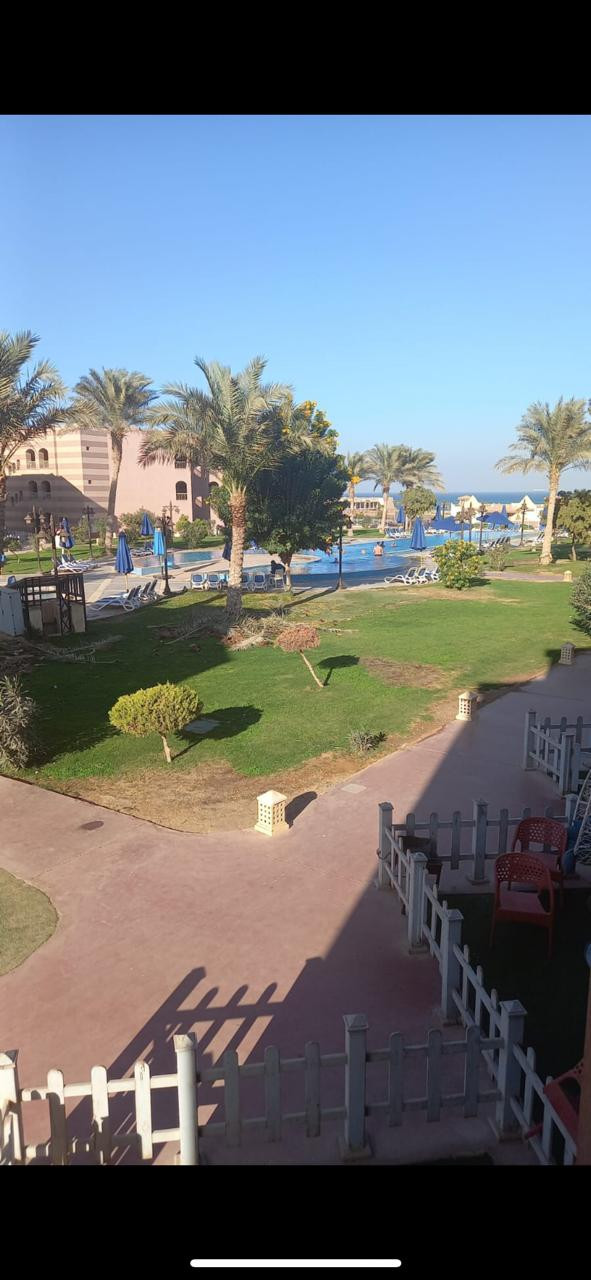 Renzo -   Property 431