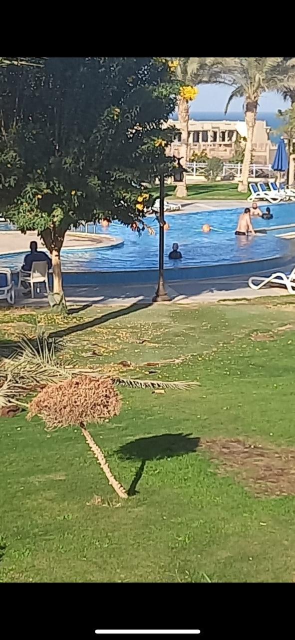 Renzo -   Property 433