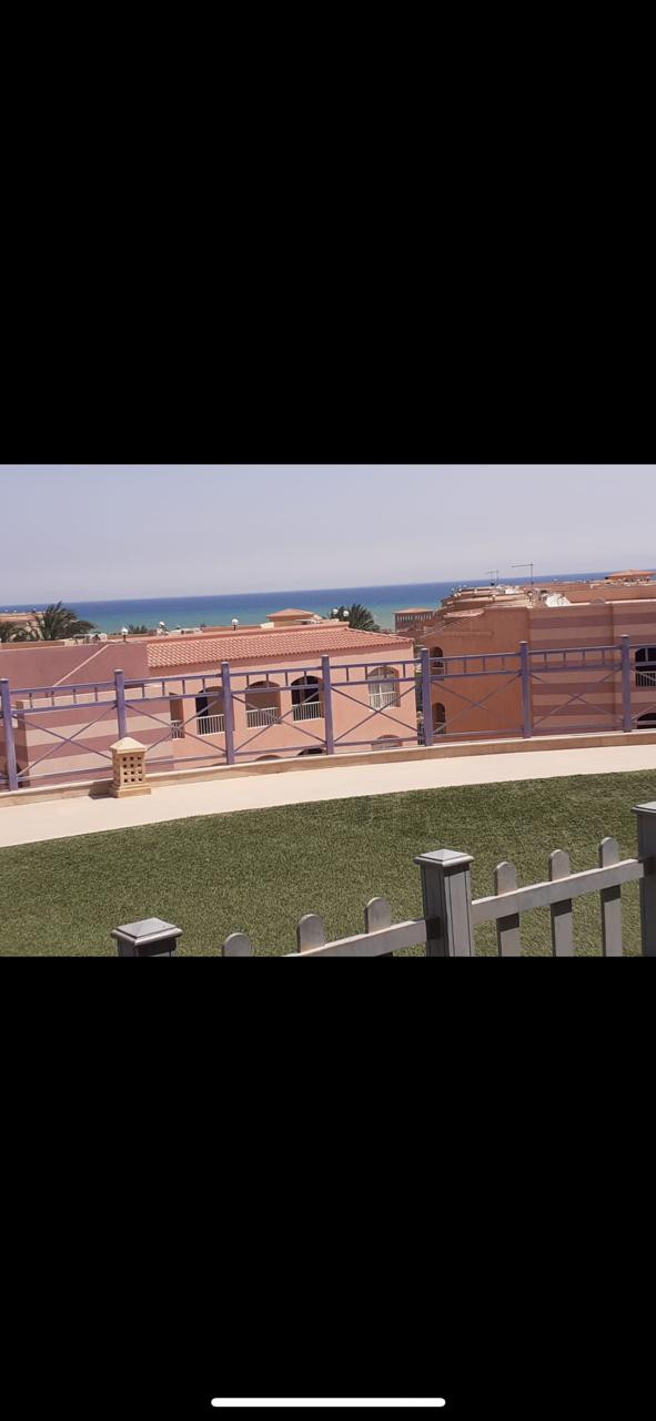 Renzo -   Property 440