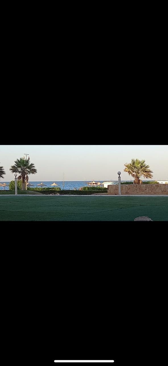 Renzo -   Property 441