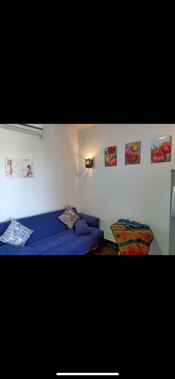 Renzo -   Property 441