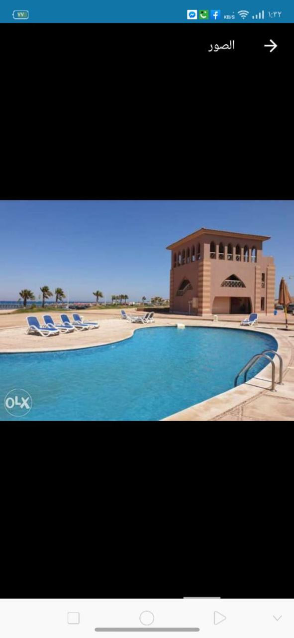 Renzo -   Property 442