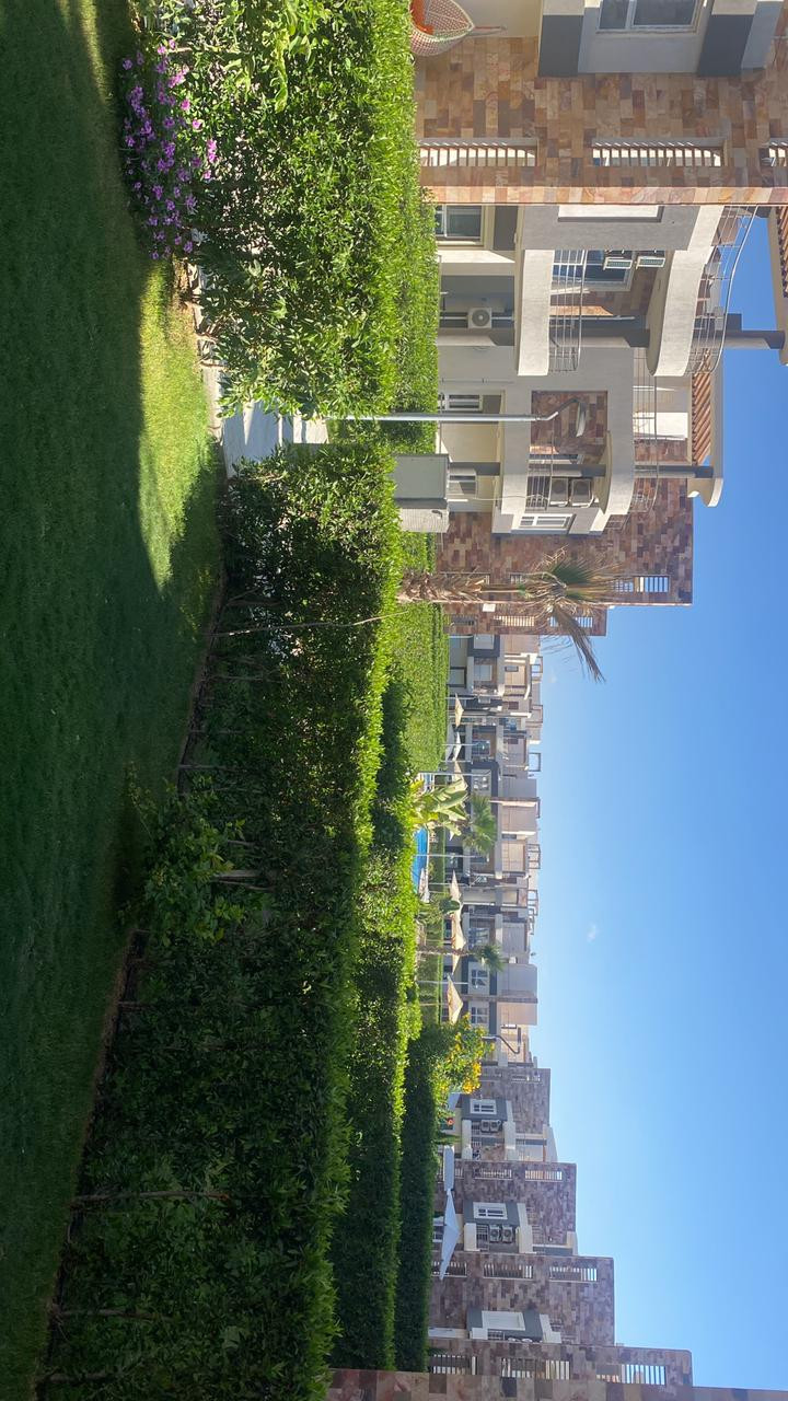 Renzo -   Property 499