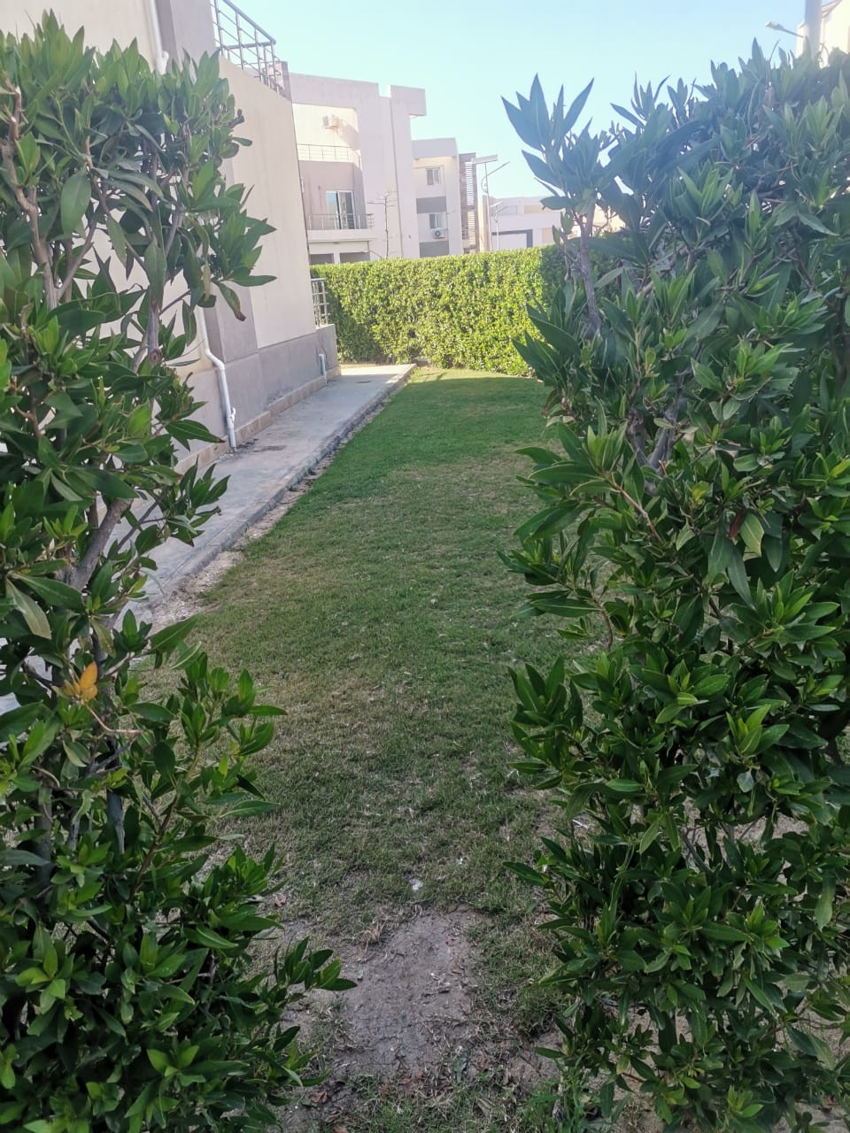 Renzo -   Property 504