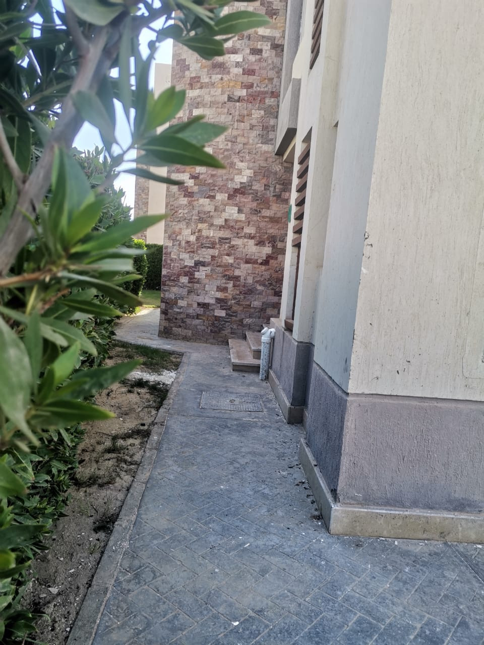 Renzo -   Property 504