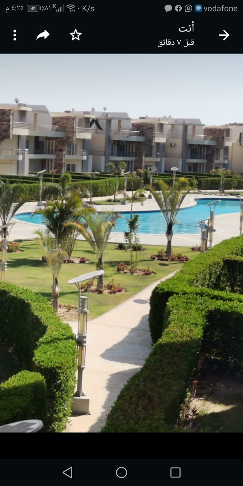 Renzo -   Property 504