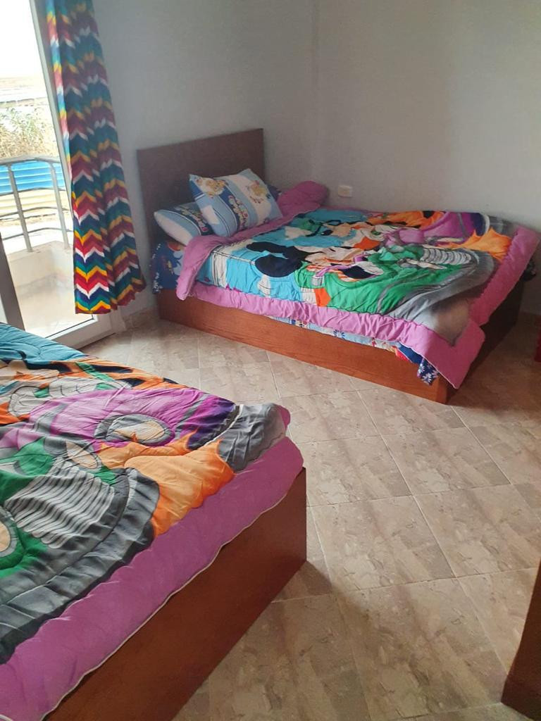 Renzo -   Property 508